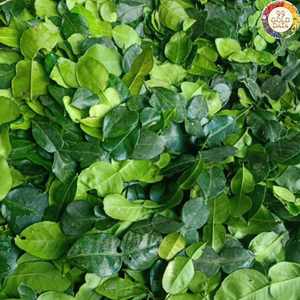 Hoja de Limón Seca de Vietnam, Material Natural para Mejorar el Sabor y Aplicaciones Culinarias - Product Image 5