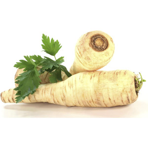 เมล็ดผักชีฝรั่งผักต้นน้ำตาลขนาด5กรัมใช้ในสวน - Product Image 5