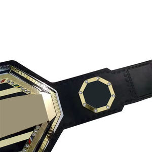 Fabricant de ceintures de championnat personnalisées avec logo pour la boxe, le taekwondo, le karaté-OEM, un matériau en alliage, un entraînement léger. - Product Image 4