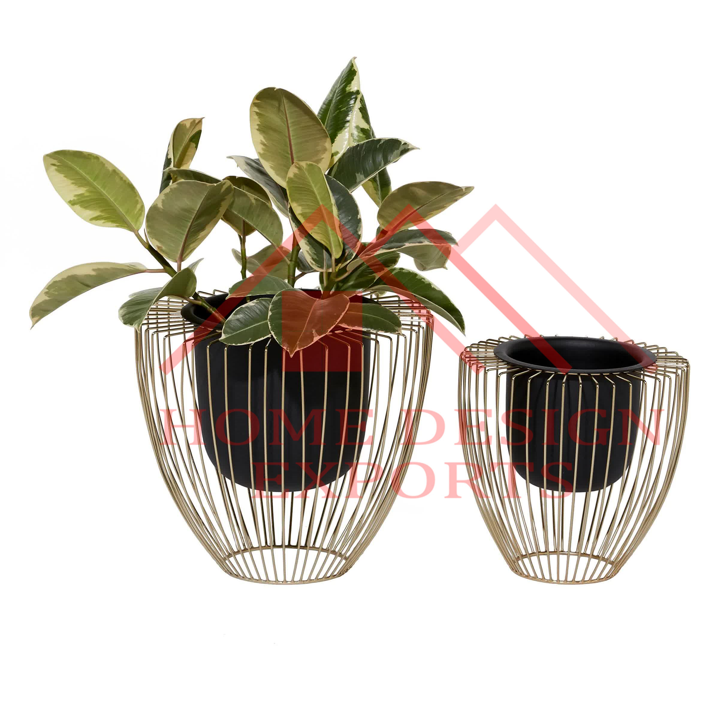 สีดำโบราณ