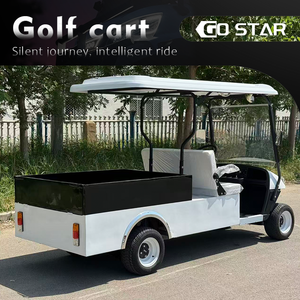 Voiturette de golf électrique modifiée avec une benne de chargement pour le transport de marchandises, voiturette de golf utilitaire 2 places - Product Image 3