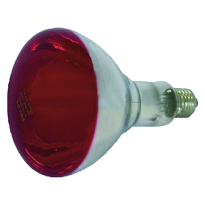 Lampada a infrarossi per riflettore 150 W - E27 - Product Image 1