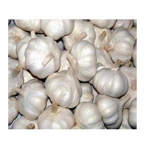 hot sale size 5.0 up <b>fresh</b> <b>garlic</b> normal white - Product Image 4