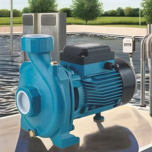 משאבת מים צנטריפוגלית חד פאזית 0.5 כוחות סוס, נירוסטה 304, בעלת יכולת שאיבה עצמית, לחץ גבוה, לשימוש תעשייתי - Product Image 3