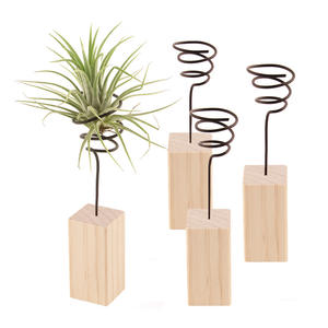 قاعدة خشبية بسيطة اسكندنافية-قوس نبات الهواء مع ملحقات الأناناس زخرفة سطح المكتب بدون تربة لديكور المنزل - Product Image 2