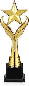 Elegant <b>Metal</b> Award Trophy Cup For Gala Dinner Award Presentation And Formal Event - Product Image 5