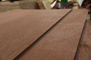 Bintangor Hoja de madera contrachapada comercial moderna WBP Melamina Pegamento E2 Estándares de emisión de formaldehído Directo de Vietnam - Product Image 4