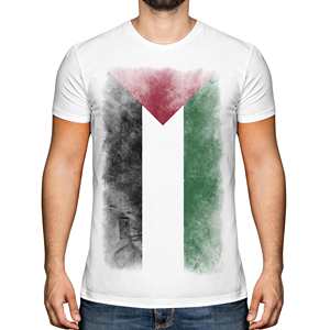 Camiseta pesada GSM de alta calidad para hombre, Camiseta 100% de algodón transpirable con estampado de bandera palestina, diseño de bandera desvanecida - Product Image 1