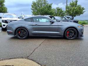 Ford Shelby 2020 - Product Image 2