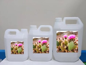 Huile capillaire au cactus, végane, extrait de figue de barbarie, nourrissante, fortifiant, à base de plantes, 2-en-1, réparation des dommages, croissance des cheveux, soin du cuir chevelu - Product Image 3