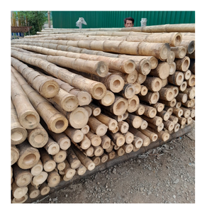 Distribuidor de poste de bambú de 10-15cm para mayoristas - Product Image 6