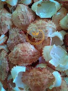 Shell de crabe séché entier-Shell de crabe séché pour la nourriture farcie - Product Image 2