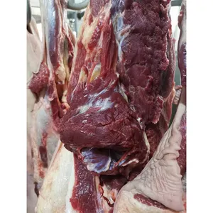 Wholesale Donkey Carcass Brazil Donkey Meat Cuts CIF/DDP Shipping Incoterms