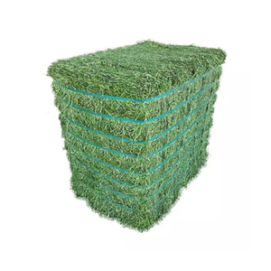 Foin d'alfalfa de qualité supérieure offert pour l'exportation et la distribution à grande échelle - Product Image 4