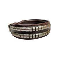 Collier pour chien en cuir Produits pour animaux de compagnie Large deux rangées cloutés en laiton massif Goujons et raccords Collier pour chien en cuir rembourré