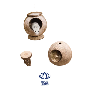 Cocon vert: cache-coquille de noix de coco de qualité supérieure pour Hamsters et oiseaux, fabriqué à la main au Vietnam - Product Image 1