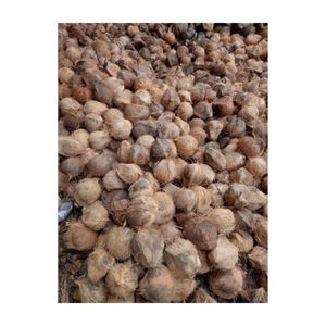 Noix de coco mûre à viande dense-Noix de coco mature pour la fabrication alimentaire-Parfait pour le stockage à long terme et l'utilisation en cuisine - Product Image 3