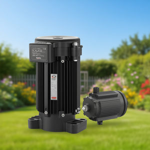 ปั๊มน้ำสำหรับใช้ในบ้าน Grundfos SCALA2 3-45 200-240V 50/60Hz พร้อมปลั๊ก Schuko - Product Image 3