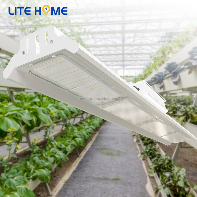 IP55 LED Plant Grow Light  200W-400W-600W-800W Full Spectrum LED Aluminium Led Lights