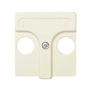 Piastra con presa induttiva R-TV + SAT, avorio (Simon 27 27097-31) - Product Image 1