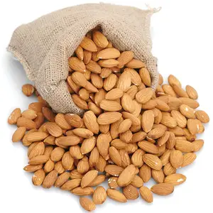 Wholesale Delicious and Healthy Raw Almond Nuts Organic Almonds In Bulk