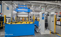 Presse de vulcanisation sous vide de 800 tonnes