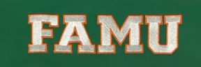 เสื้อสวมหัวและมีฮู้ดสำหรับผู้ชายและผู้หญิงสำหรับมหาวิทยาลัย FAMU Florida A & M - Product Image 2
