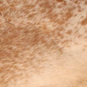 Tapis modernes lavables en cuir de vachette 100% naturel couleur unie rond pour hôtel ou cuisine - Product Image 6