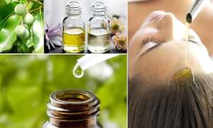 Vente en gros de pétrole du Viet Nam Tamanu en vrac et à prix compétitif - Product Image 5