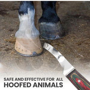 Good Quality Best Price Fully Customized Newest Razor Sharp Curved Blade Stainless Steel Ergonomic Handle Horse <b>Hoof</b> Knife - Product Image 4
