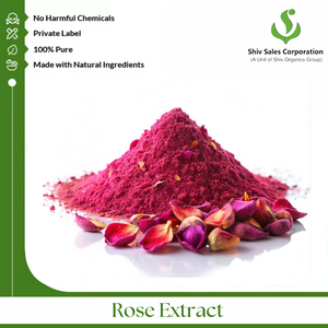 Fabricant direct approvisionnement en gros de poudre d'extrait de rose prix raisonnable des acheteurs en vrac produit - Product Image 3