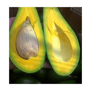 Fruta de aguacate congelado con dulce natural de alta calidad de Vietnam AGUACATE CONGELADO DE ALTA CALIDAD MEJOR PRECIO LISTO PARA ENVIAR - Product Image 2