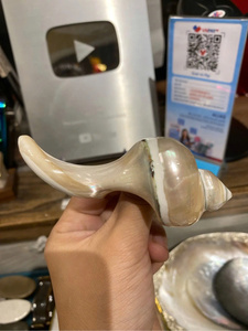 Reposapalillos Decorativo Moderno de Concha Marina, Hecho a Mano, Ecológico, Regalo de Vajilla de Vietnam - Product Image 1