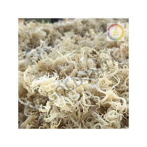 Algues cottonii séchées de qualité supérieure, idéales pour la fabrication de gelées, de repas traditionnels et de projets culinaires - Product Image 1