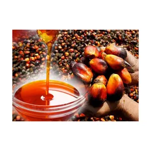 Red Palm Oil / Refined Palm Oil / Palm Kernel Oil For Sale Palm Oil Factory Supply cheap price