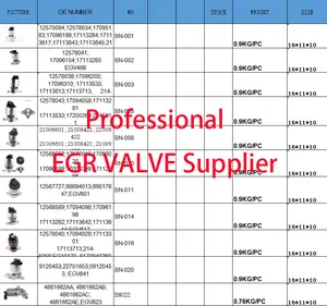 2004-2006 पैसिफिका V6 3.5L के लिए एग्जॉस्ट गैस रीसर्क्युलेशन वाल्व गैस्केट EGR वाल्व असेंबली 4861579AC EGV824