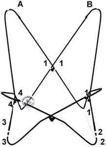 เก้าอี้ผีเสื้อหนังดีไซน์คลาสสิก,เก้าอี้ผีเสื้อพับได้กรอบสีดำเก้าอี้สำนักงานบ้าน - Product Image 6