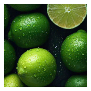 Offre spéciale citron vert frais Excellent pour la cuisine tropicale fraîche citron vert frais agrumes sans pépins juteux avec qualité d'exportation et arôme frais - Product Image 5