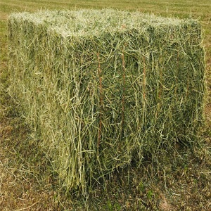Granulés de foin d'alfalfa et foin de timothée - Alimentation animale de qualité alimentaire, durée de conservation de 24 mois, 5% d'humidité, fabricant néerlandais, vente en gros - Product Image 4