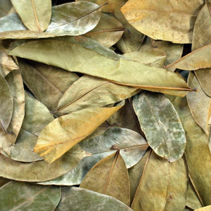 Feuilles de corossol séchées (Annona Muricata) en vrac, prix usine, matière première pour thé en vrac - Product Image 2