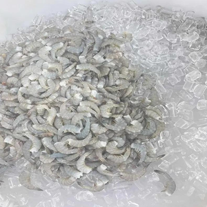 Crevettes vivants à vendre - Product Image 6