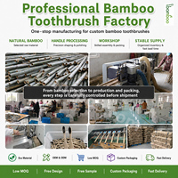 Brosse à dents en charbon de bambou à poils de charbon, manche en bois, soins bucco-dentaires, emballage personnalisé pour hôtels, voyages, vente en gros, directement de l'usine