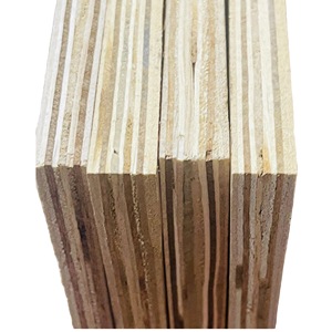 Vente directe d'usine Placage de panneau de clôture composite laminé européen pour mur extérieur et intérieur Wallbulk Qté - Product Image 3