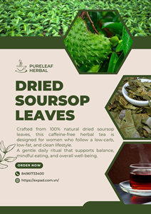 Bolsitas de Té de Hoja de Guanábana Premium Hechas con Hojas Cuidadosamente Seleccionadas y Empacadas en Bolsas de Filtro Biodegradables para una Infusión Herbal Limpia y Suave - Product Image 4