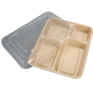 Eco customized disposable bagasse 100% degradable food container, takeout box with lid