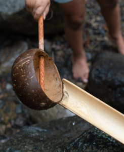 Cuchara de cáscara de coco tradicional-Apelación orgánica, hecha a mano de residuos VIET FARGIMEX - Product Image 2