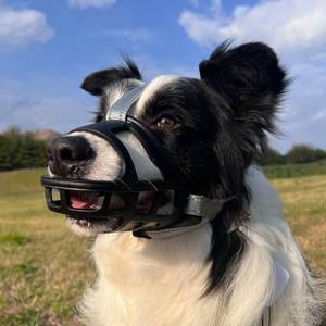 WANLI perro Anti mordedura masticar perro ligero cesta suave <span class=keywords><strong>bozal</strong></span> <span class=keywords><strong>de</strong></span> silicona - Product Image 1