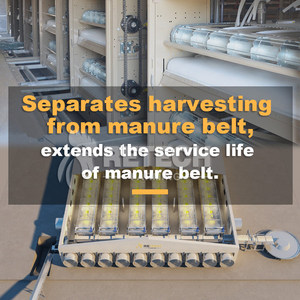 Thiết kế <span class=keywords><strong>2025</strong></span> thiết bị Gà Thịt chăn nuôi quy mô lớn với hệ thống kiểm soát Clima - Product Image 5