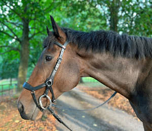 Bride en cuir de cheval 2019 de haute qualité Bride en cuir de cheval de haute qualité - Product Image 5
