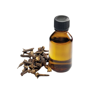 Ingrediente de árbol de té de aceite esencial de brote de clavo de olor natural fabricado en India a precios bajos para usos múltiples - Product Image 2